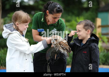 Ande das Lama offiziell eröffnet neue ZSL London Zoo Animal Adventure heute Morgen vom 30. Juli 2019 von seinem Weg durch eine zeremonielle Ribbon munching, nach der Eröffnung der Zoo berühmtheiteltern Michelle Heaton, Charlie Simpson und Katie Piper an der 32.000 qm neue Streichelzoo und Spielplatz auf einer Reise von Wildtieren Entdeckung, die ein Leben lang halten begrüßt. Moderator JB Gill und seiner Familie gefeiert, dass sich ihre Tochter Chiara Geburtstag an den Start. wo die Kleine in einem entzückenden Miniaturausgabe zookeeper Outfit gekleidet met Zwergziegen Dornbusch und Tölpel. . London Zoo. London, Großbritannien Stockfoto