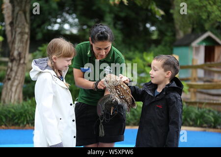 Ande das Lama offiziell eröffnet neue ZSL London Zoo Animal Adventure heute Morgen vom 30. Juli 2019 von seinem Weg durch eine zeremonielle Ribbon munching, nach der Eröffnung der Zoo berühmtheiteltern Michelle Heaton, Charlie Simpson und Katie Piper an der 32.000 qm neue Streichelzoo und Spielplatz auf einer Reise von Wildtieren Entdeckung, die ein Leben lang halten begrüßt. Moderator JB Gill und seiner Familie gefeiert, dass sich ihre Tochter Chiara Geburtstag an den Start. wo die Kleine in einem entzückenden Miniaturausgabe zookeeper Outfit gekleidet met Zwergziegen Dornbusch und Tölpel. . London Zoo. London, Großbritannien Stockfoto