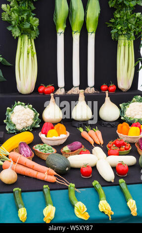 New Milton, Hampshire, UK. 30. Juli 2019. Menschenmassen strömen zu den ersten Tag des neuen Wald & Hampshire County Show auf einem nassen windigen matschig schlammigen Tag. Erstaunlich Gemüse auf dem Display. Credit: Carolyn Jenkins/Alamy leben Nachrichten Stockfoto