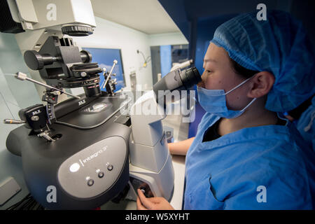 Ein chinesischer medizinischer Arbeiter führt Gentests auf befruchteten Eizellen oder Embryonen, die für die Test Tube Babies im Labor von der Provinz Shanxi reproduktive Scienc Stockfoto