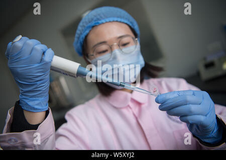 Ein chinesischer medizinischer Arbeiter führt Gentests auf befruchteten Eizellen oder Embryonen, die für die Test Tube Babies im Labor von der Provinz Shanxi reproduktive Scienc Stockfoto