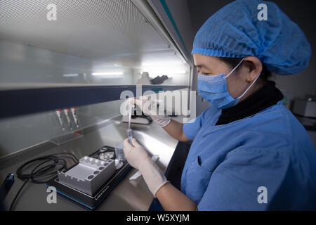 Ein chinesischer medizinischer Arbeiter führt Gentests auf befruchteten Eizellen oder Embryonen, die für die Test Tube Babies im Labor von der Provinz Shanxi reproduktive Scienc Stockfoto