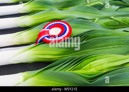 New Milton, Hampshire, UK. 30. Juli 2019. Menschenmassen strömen zu den ersten Tag des neuen Wald & Hampshire County Show auf einem nassen windigen matschig schlammigen Tag. Preis Lauch zu gewinnen. Credit: Carolyn Jenkins/Alamy leben Nachrichten Stockfoto