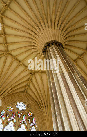 Der Kapitelsaal, Wells Cathedral mit ihrer prächtigen Ventilator gewölbte Decke. Stockfoto