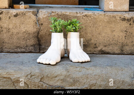 Keramik Blumentopf in der Form der Füße wachsende Kräuter Stockfoto