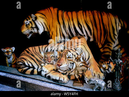 Tiger auf der Sukhumvit in Bangkok, Thailand in Südostasien im Fernen Osten. Tierquälerei Bedrohte Tierwelt Stockfoto