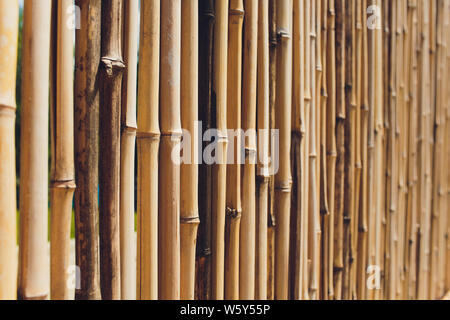 Alte braune ton Bamboo plank Zaun Textur für Hintergrund. Stockfoto
