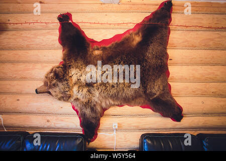 Der Bär Haut ist hängen an der Wand und Kupfer Deckenleuchten. Stockfoto