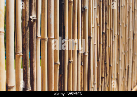 Alte braune ton Bamboo plank Zaun Textur für Hintergrund. Stockfoto