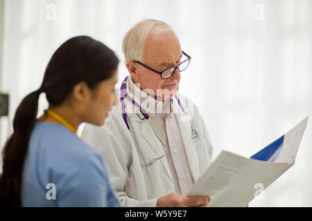 Leitender Arzt Beratung mit einer jungen Krankenschwester. Stockfoto