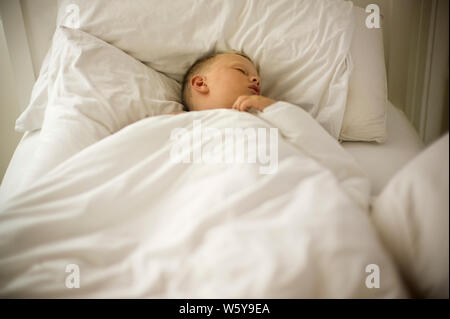 Inhalt Junge schlafend im Bett. Stockfoto