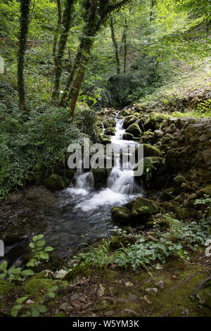 TARA Nationalpark, Serbien - Wasserfälle und Stromschnellen der Gebirgsbach Stockfoto