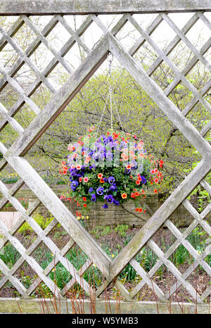Blühende Blumen am Fenster im Garten Stockfoto