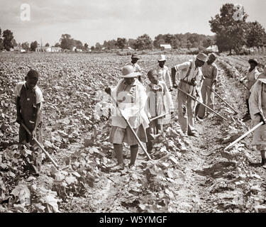 1930er Jahre afrikanische amerikanische Frauen und Männer, Jung und Alt mit HACKEN ARBEITEN ZUSAMMEN IM BEREICH HACKEN BAUMWOLLE LOUISIANA USA-c2820 HAR 001 HARS FRAUEN JOBS LÄNDLICHEN VEREINIGTEN STAATEN KOPIEREN PLATZ DAMEN FITNESS PERSONEN, DIE VEREINIGTEN STAATEN VON AMERIKA MÄNNER GEFAHR JUGENDJUNGEN LANDWIRTSCHAFT B&W TRAURIGKEIT NORDAMERIKA NORDAMERIKA SKILL BERUF FÄHIGKEITEN WELLNESS KOPF UND SCHULTERN KRAFT afrikanischer Amerikaner MUT AFRICAN-AMERICAN UND SCHWARZ ETHNIZITÄT ARBEIT LOUISIANA STOLZ IN BERUFEN MIT KONZEPTIONELLEN TEENAGED HACKEN Mitte - Mitte - erwachsenen Mann Mitte der erwachsenen Frau TEILPACHT ZWEISAMKEIT BACKBREAKING Stockfoto