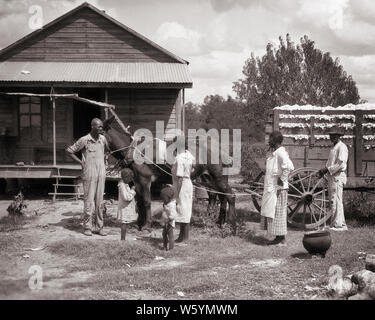 1930er Jahre afrikanische amerikanische SHARECROPPING PACHTHOF FAMILIE AUSSERHALB IHRES HAUSES MIT MULE ZIEHEN WAGEN VON AUSGEWÄHLT BAUMWOLLE MISSISSIPPI USA-c 6256 HAR 001 HARS NOSTALGISCHE SCHÖNHEIT GEMEINSCHAFT MÜTTER ALTE ZEIT BESETZT ZUKUNFT NOSTALGIE BRUDER INDUSTRIE OLD FASHION SCHWESTER ARMUT 1 WAGEN KINDER ANGST TEAMARBEIT BAUMWOLLE KINDER FAMILIEN FREUDE LIFESTYLE FEIER FRAUEN VERMÄHLT BRÜDER armen ländlichen EHEPARTNER EHEMÄNNER HOME LIFE 6 Kopieren Sie RAUM IN VOLLER LÄNGE DAMEN TÖCHTER PERSONEN WOHN- MÄNNER RISIKO SECHS GEBÄUDE SERENITY GESCHWISTER SPIRITUALITÄT VERTRAUEN SCHWESTERN TRANSPORT ZIEHEN VÄTER LANDWIRTSCHAFT B&W PARTNER Stockfoto