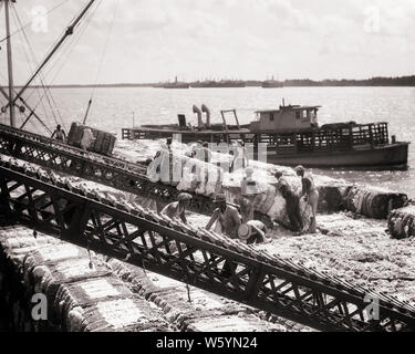 1930er Jahre TEAM DER AFRIKANISCHEN AMERIKANISCHEN MÄNNERN STAUER Entladen der Ballen Baumwolle VON MISSISSIPPI RIVER BARGE NEW ORLEANS LOUISIANA USA-c 6297 HAR 001 HARS KÖRPERLICHE FITNESS PERSONEN SCHWERE MÄNNER RISIKO BERUF TRANSPORT LANDWIRTSCHAFT B&W SCHLEIFRING LADEN WEITWINKEL SKILL BERUF FÄHIGKEITEN MANUELLER STÄRKE ENTLADEN afrikanische Amerikaner, Afrikaner - amerikanische Karriere leistungsstarke FORTSCHRITTE SCHWARZ ETHNIZITÄT ARBEIT LOUISIANA Stolz der Berufe, für die konzeptionelle Unterstützung zurück, die Ballen Mitte - Mitte - erwachsenen Mann RIVERBOAT VERSAND STAUER ZWEISAMKEIT WATERFRONT BALLEN BARGE SCHWARZ UND WEISS HAR 001 LA ARBEITER MISSISSIPPI RIVER Stockfoto