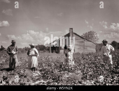 1930er Jahre vier afrikanische amerikanische PACHTHOF SHARECROPPERS zwei Männer, zwei Frauen KOMMISSIONIERUNG BAUMWOLLE AUF DEM LAND IN DER NÄHE ihrer Heimat Louisiana USA-c6320 HAR 001 HARS NOSTALGIE OLD FASHION ANGST KARRIERE TEAMARBEIT KOMMISSIONIERUNG BAUMWOLLE FAMILIEN LIFESTYLE FRAUEN VERMÄHLT JOBS armen ländlichen EHEPARTNER EHEMÄNNER UNITED STATES KOPIE RAUM FREUNDSCHAFT IN VOLLER LÄNGE DAMEN PERSONEN WOHN- VEREINIGTE STAATEN VON AMERIKA LANDWIRTSCHAFT MÄNNER GEFÄHRDETE GEBÄUDE BERUF SPIRITUALITÄT LANDWIRTSCHAFT B&W PARTNER TRAURIGKEIT NORDAMERIKA FREIHEIT NORDAMERIKANISCHEN SKILL BERUF FÄHIGKEITEN WELLNESS STÄRKE ihre afrikanischen Amerikaner MUT afrikanisch-amerikanische Karriere Stockfoto