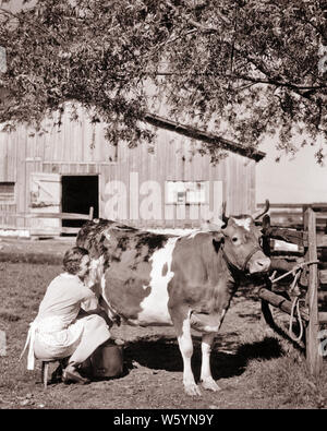 1930er Jahre FRAU BAUERNHOF FRAU SITZEN AUF 3 BEIN HOCKER MELKEN GUERNSEY COW GEBUNDEN ZU Zaun im BARNYARD UNTER SHADE TREE-c 6964 HAR 001 HARS LANDWIRTSCHAFT B&W VIEH GLÜCK CHORE EXTERIEUR Kühe melken STOLZ AUF DIE BERUFE KONZEPTIONELLE STILVOLLE BOSSY SÄUGETIER ENTSPANNUNG SHADE TREE MITEINANDER junger Erwachsener FRAU BARNYARD SCHWARZ UND WEISS KAUKASISCHEN ETHNIE HÄUSLICH HAR 001 VIEH ALTMODISCH Stockfoto