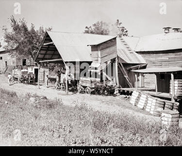 1930er Jahre Maultier gezogenen Wagen liefern ABGEHOLT BAUMWOLLE ZU LÄNDLICHEN COTTON GIN FÜR REINIGUNG UND PRESSEN IN DER NÄHE VON LAWRENCE TENNESSEE USA-c 8088 HAR 001 HARS ALTMODISCH Stockfoto