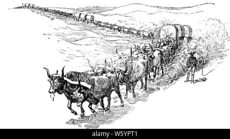 1880s STIER WAGGON ZUG KUTSCHER FÜHRT OCHSEN TEAMS ZIEHEN drei Waggons mit Waren versorgt AMERIKANISCHEN WESTERN FRONTIER-h 9818 HAR 001 HARS RISIKO WESTLICHE PAARE VERTRAUEN TRANSPORT 1800s B&W FRACHT HÖRNER ERFOLG WEITWINKEL RINDER LIEFERT HOHEN WINKEL ABENTEUER WAREN STÄRKE JOCH MUT GRENZE SCHLEPPEN MÄCHTIGE FORTSCHRITTE RICHTUNG STOLZ IN AUTORITÄT BERUFEN OCHSEN WAGGON ZUG KONZEPTIONELLE 1880s Entwurf führen STILVOLLE WAGEN KUTSCHER TEAMSTERS GEFÜLLT FÜHRT SÄUGETIER OX TEAMS JOCHEN SCHWARZE UND WEISSE HÄUSLICH HAR 001 VIEH ALTMODISCH Stockfoto