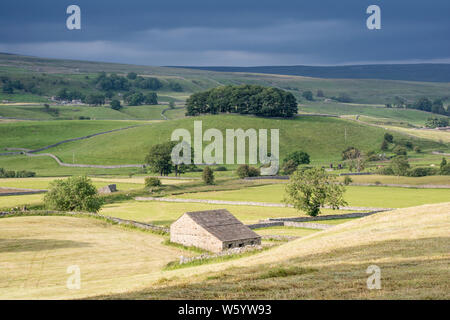 Wensleydale Landschaft, Yorkshire Dales National Park, North Yorkshire, England, Großbritannien Stockfoto