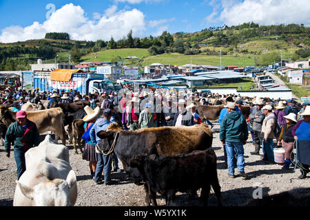 Crucconga Markt, Landwirtschaftsmesse, Viehmarkt, Norden von Peru, Südamerika Stockfoto