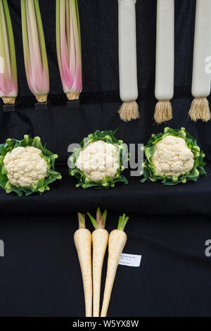 New Milton, Hampshire, UK. 30. Juli 2019. Menschenmassen strömen zu den ersten Tag des neuen Wald & Hampshire County Show auf einem nassen windigen matschig schlammigen Tag. Credit: Carolyn Jenkins/Alamy leben Nachrichten Stockfoto