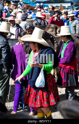 Crucconga Markt, Landwirtschaftsmesse, Viehmarkt, Norden von Peru, Südamerika Stockfoto