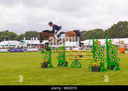 New Milton, Hampshire, UK. 30. Juli 2019. Menschenmassen strömen zu den ersten Tag des neuen Wald & Hampshire County Show auf einem nassen windigen matschig schlammigen Tag. Credit: Carolyn Jenkins/Alamy leben Nachrichten Stockfoto