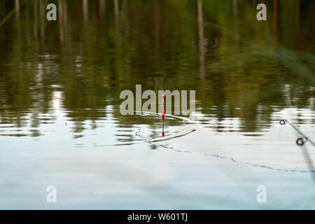 Angeln auf einen Schwimmer im Sommer Abend. See, Reflexion des Waldes im Wasser Stockfoto