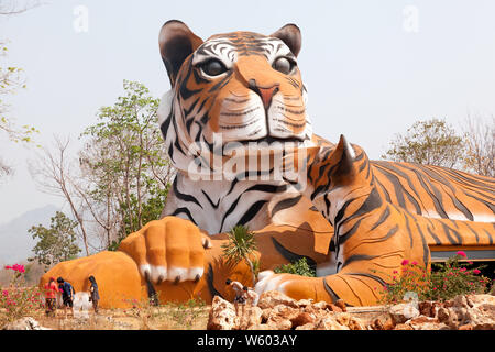 Buddhistische und Touristische Interaktion mit Tiger an den Tiger Tempel in Kanchanaburi, Nordthailand, die Bengal Tiger werden verwendet, um zu interagieren. Stockfoto