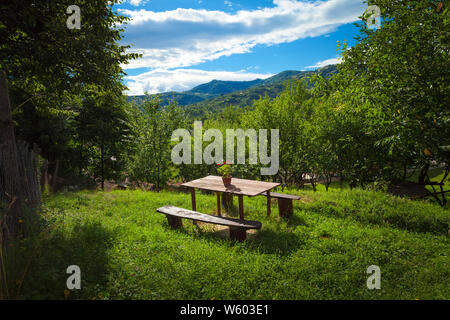 Wunderschöne Landschaft Tisch mit Blumen Einstellung in einer Lichtung in der Nähe der Wald im Sommer Stockfoto