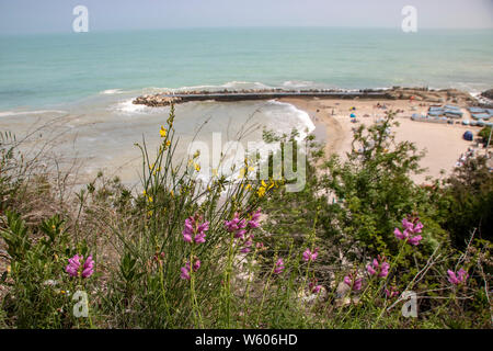 Landschaft von Urbani Strand von Sirolo, Riviera del Conero, Marken, Italien Stockfoto