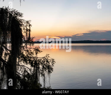 Sonnenaufgang Blick über den See mit bemoosten Bäume in Florida Stockfoto