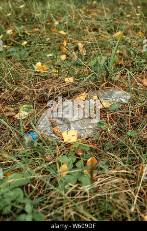 Plastikflasche auf grünem Gras im Wald. Umweltverschmutzung Konzept. Stockfoto