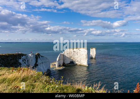 Old Harry Rocks, berühmten Kreidefelsen Felsbrocken auf der Isle of Purbeck Handfast, Jurassic Coast, UNESCO-Weltkulturerbe, Dorset, England, Großbritannien Stockfoto