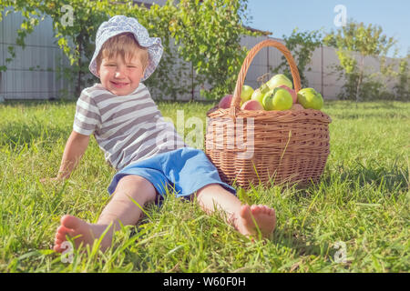 Junge in der Nähe von Korb voller grüne saftige Äpfel. Herbst Ernte Konzept. Bio Apfel. Frisch saftig grüne Äpfel aus dem eigenen Garten. Junge sitzt auf gr Stockfoto