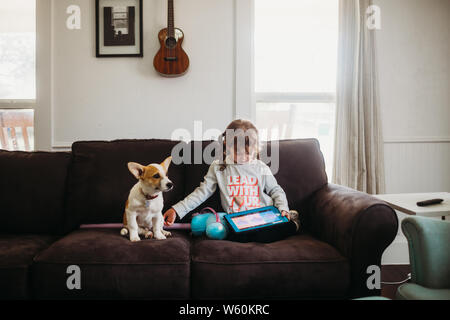 Junge Mädchen petting corgi Welpen beim Spielen Tablet auf der Couch Stockfoto