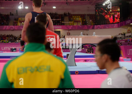 Lima, Peru. 30. Juli, 2019. Nachweis Pferd mit Griffen. Pan American Games von Lima 2019. Lima. PE. Credit: Reinaldo Reginato/FotoArena/Alamy leben Nachrichten Stockfoto