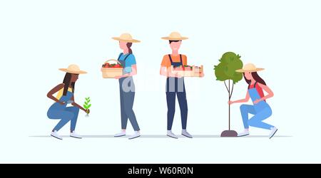 Stellen Sie mix Rennen Gärtner im Garten oder Gewächshaus county Männer Frauen arbeiten in der Landwirtschaft die Ernte im Garten ökologische Landwirtschaft Konzept Flachbild in voller Länge Stock Vektor