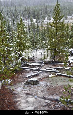 Yellowstone - Ende Winter Frühjahr Stockfoto