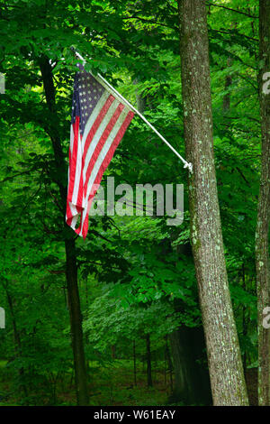 Amerikanische Flagge entlang der Quinnipiac River Gorge Trail, Meriden lineare Trail, Meriden, Connecticut Stockfoto