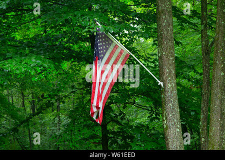 Amerikanische Flagge entlang der Quinnipiac River Gorge Trail Stockfoto