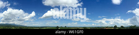 Panoramablick auf die schöne, klare blaue Himmel mit Teeplantagen in der Natur grüne Bäume Stockfoto