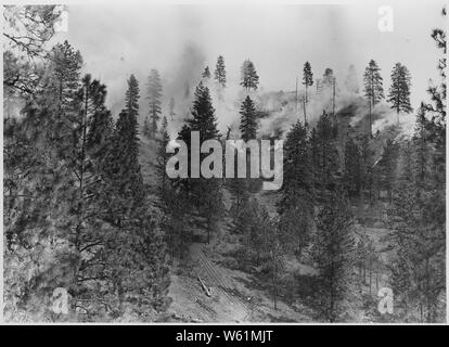 Broadcast Schrägstrich brennen auf dem Manila Creek Indian Logging Unit.; Umfang und Inhalt: Fotografische Berichte von Harold Weaver übersetzt veranschaulichen Waldbewirtschaftung auf Indian Reservation Wälder von Washington und Oregon, vor allem auf der Colville, wo Weber war Wald Supervisor, bevor er regionale Förster in 1960. Es gibt dort ein paar Fotos von Kalifornien und Montana und Berichte über wissenschaftliche Exkursionen. Stockfoto