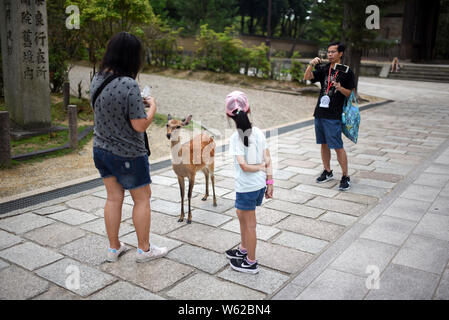 Menschen interagieren mit Hirsch in Nara Park, Japan Stockfoto