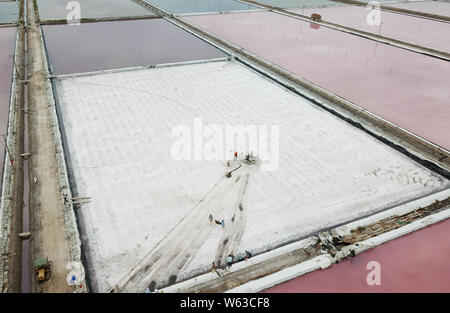 Eine Luftaufnahme einer salt lake drehen Rosa während der Erntezeit in Lanzhou City, der ostchinesischen Provinz Jiangsu, 5. September 2018. Stockfoto