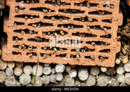 Bee Hotel Brick ist geeignet für Einzelbienen, Genus Osmia Bee Hotel Insekten, Insekten, Garten, Ziegel, Lücken, Wildes Leben, Shelter Stockfoto