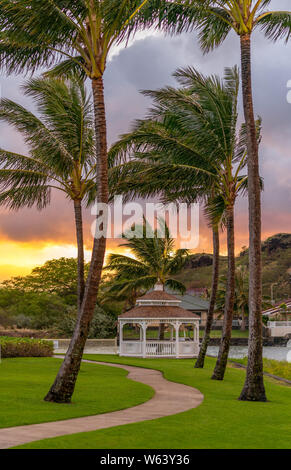 Gehweg gesäumt mit Wind fegte Palmen in Hawaii Kai Marina in Hawaii. Stockfoto