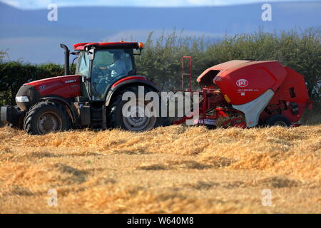 Ein modernes Stroh compactor Sammeln der Stroh- und rollt es in die riesigen Ballen bereit für den Winter füttern in Rollenform gespeichert werden. Stockfoto